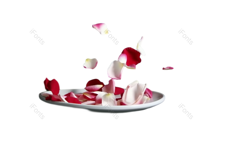 花瓣装饰图片,玫瑰花元素,玫瑰PNG,玫瑰花瓣免抠素材